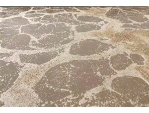 廢水處理中常用的氧化劑和還原劑有哪些？